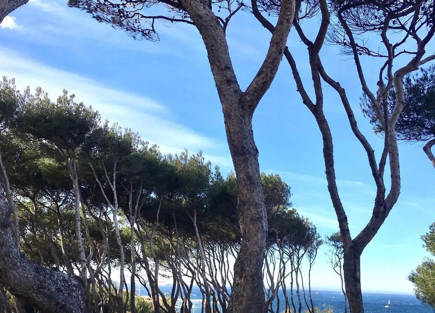Vue 180 Degres Mer-Colline, Plages 100M, Piscine, Box , Domaine Coudouliere Six Four Les Plages Six-Fours-les-Plages Apartment