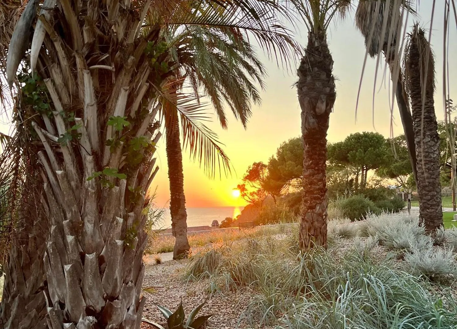 Vue 180 Degres Mer-Colline, Plages 100M, Piscine, Box , Domaine Coudouliere Six Four Les Plages Six-Fours-les-Plages Apartment