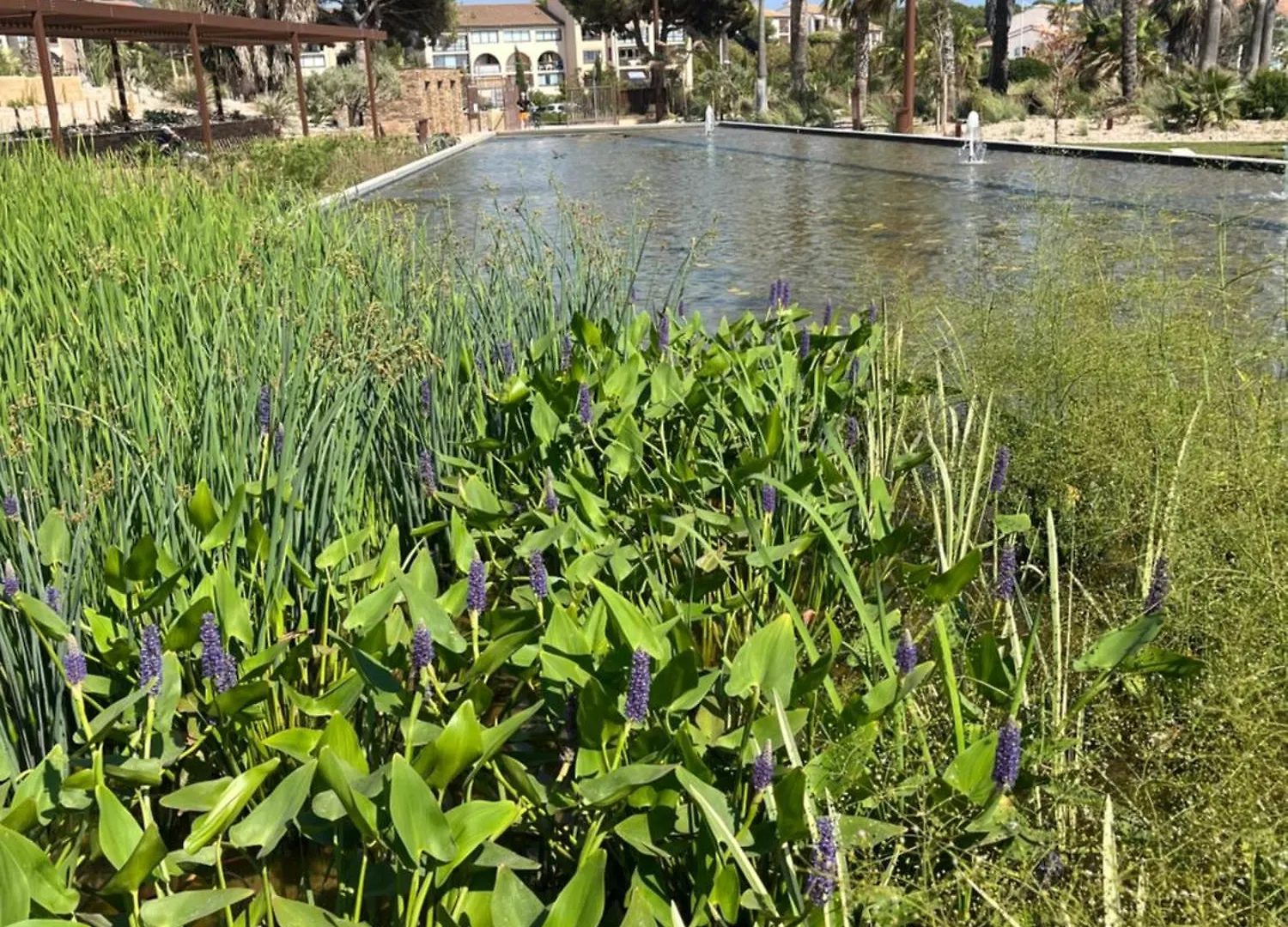 Vue 180 Degres Mer-Colline, Plages 100M, Piscine, Box , Domaine Coudouliere Six Four Les Plages Six-Fours-les-Plages